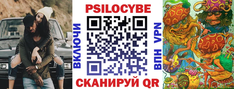 Галлюциногенные грибы Psilocybe  купить  цена  Новая Ляля 